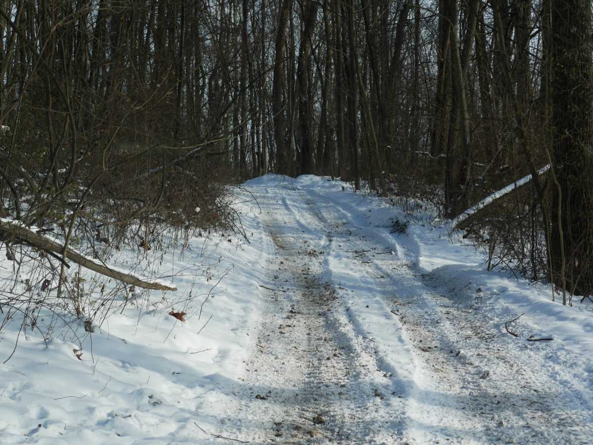 Trail 28 photo 6