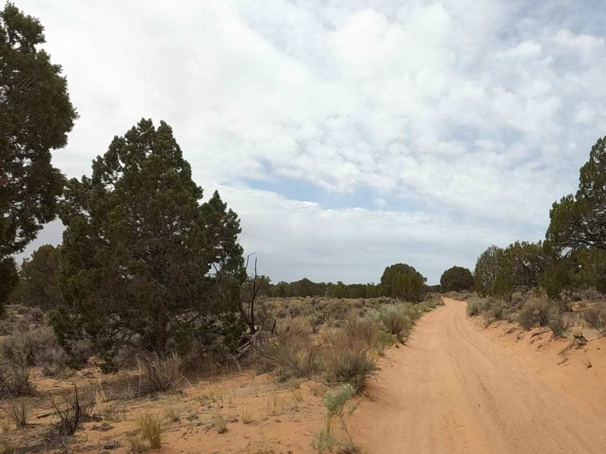 Sandhill Loop - NM1084 photo 5