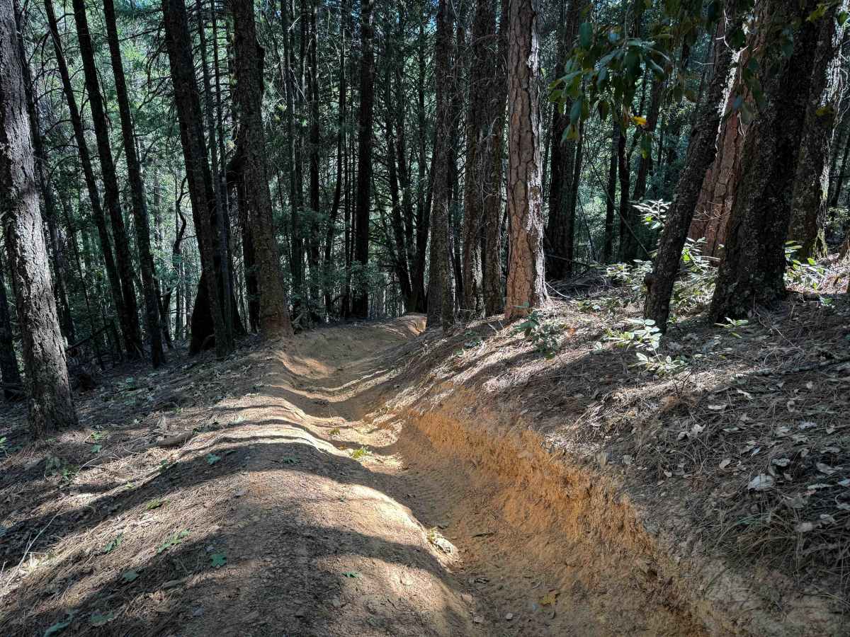 Trail 5 (11E31)   photo 2