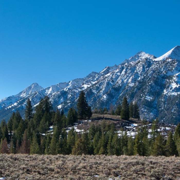Near Fall Creek Falls