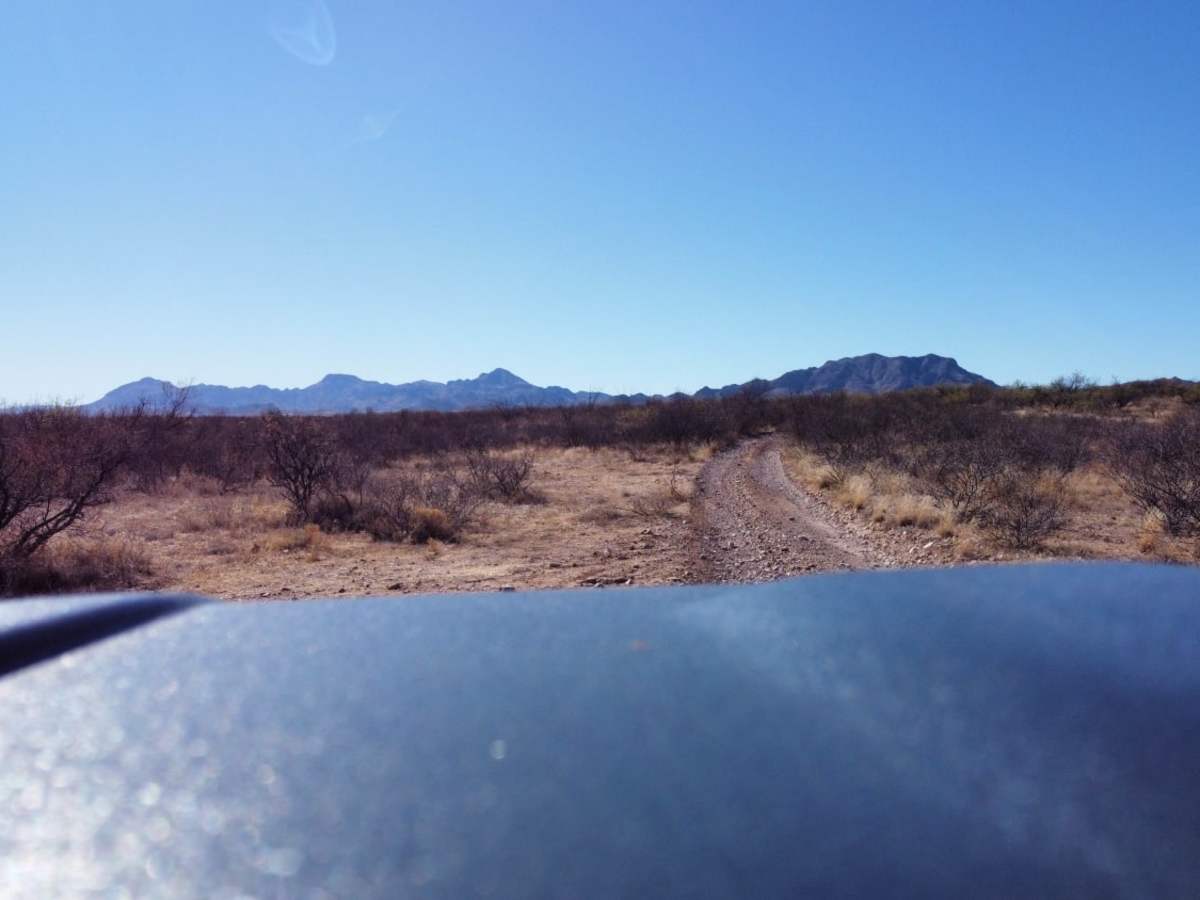 12 Mile Trail trail photo