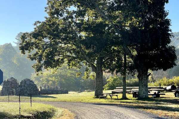 Rominger Road