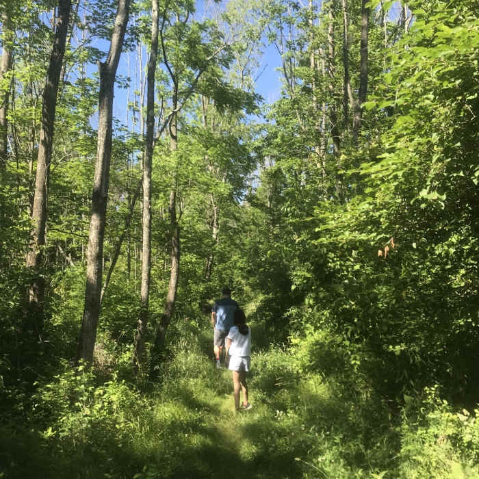 Start of the trail from the parking lot. Near Peace Valley Nature Loops