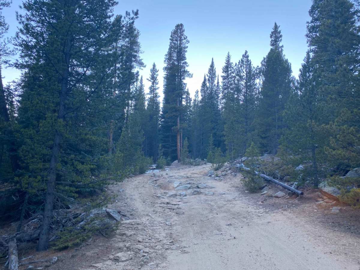 Bonis Creek Trail 853 photo 6