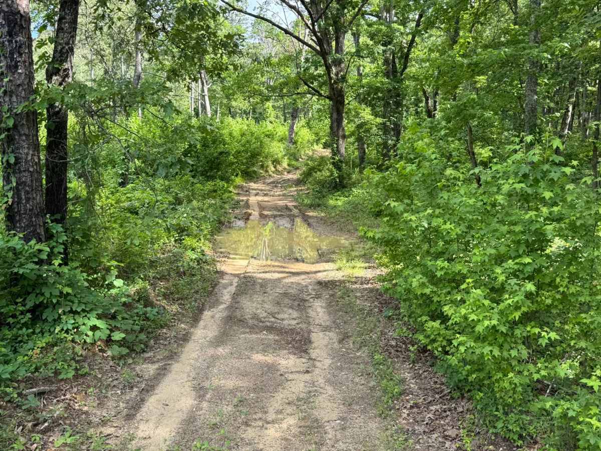 Bee Hollow photo 2