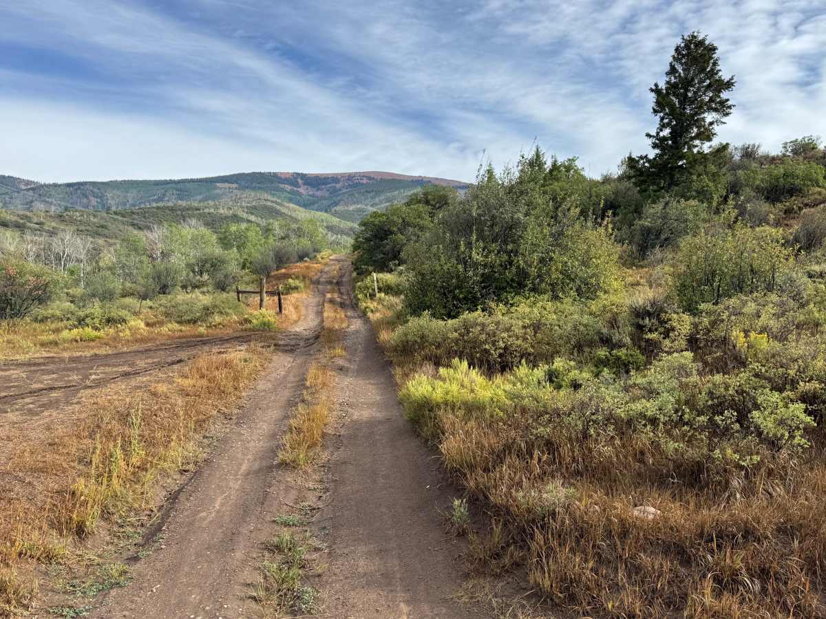 Freeman Road trail photo