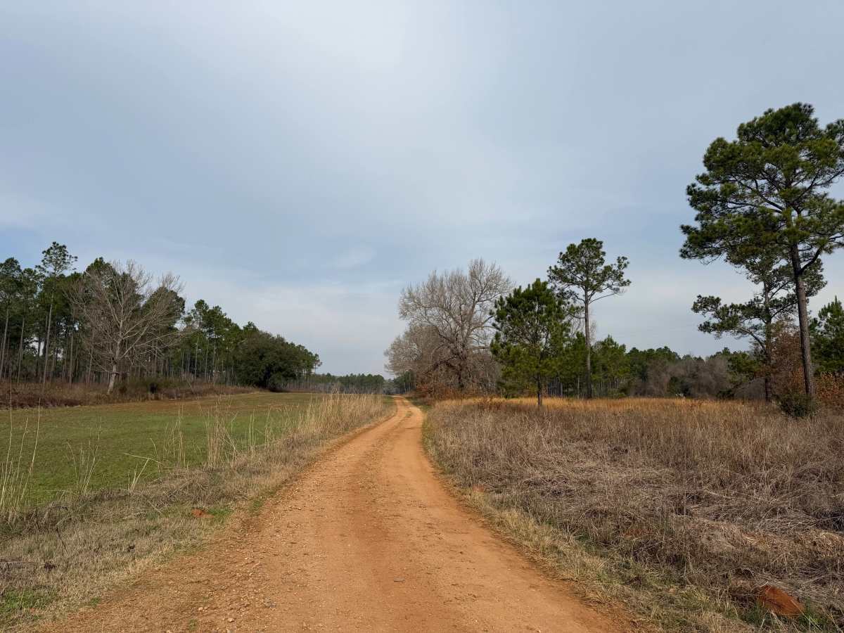 Flat Hole Loop photo 2