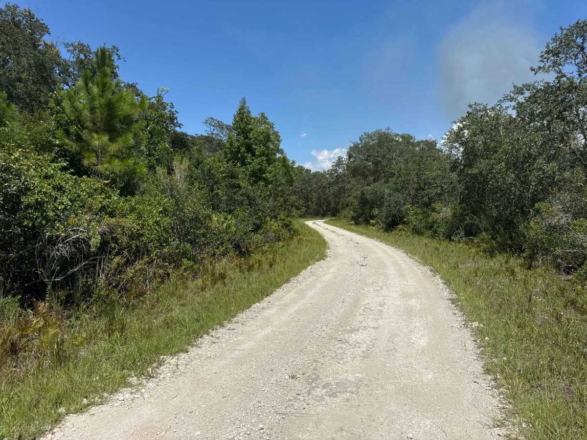 Rattlesnake Camp Road photo 3