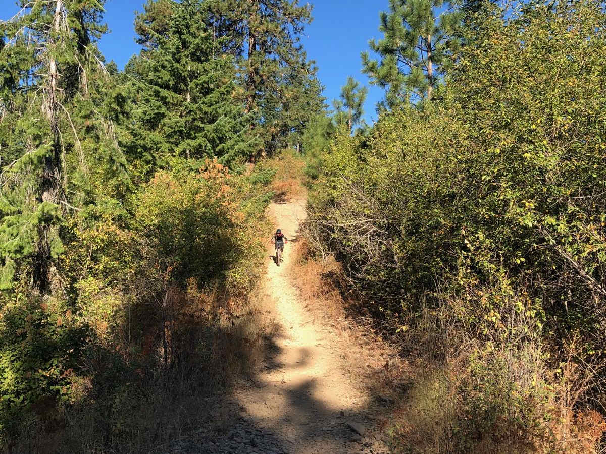 Penn Trail, Cave Trail Loop photo 4
