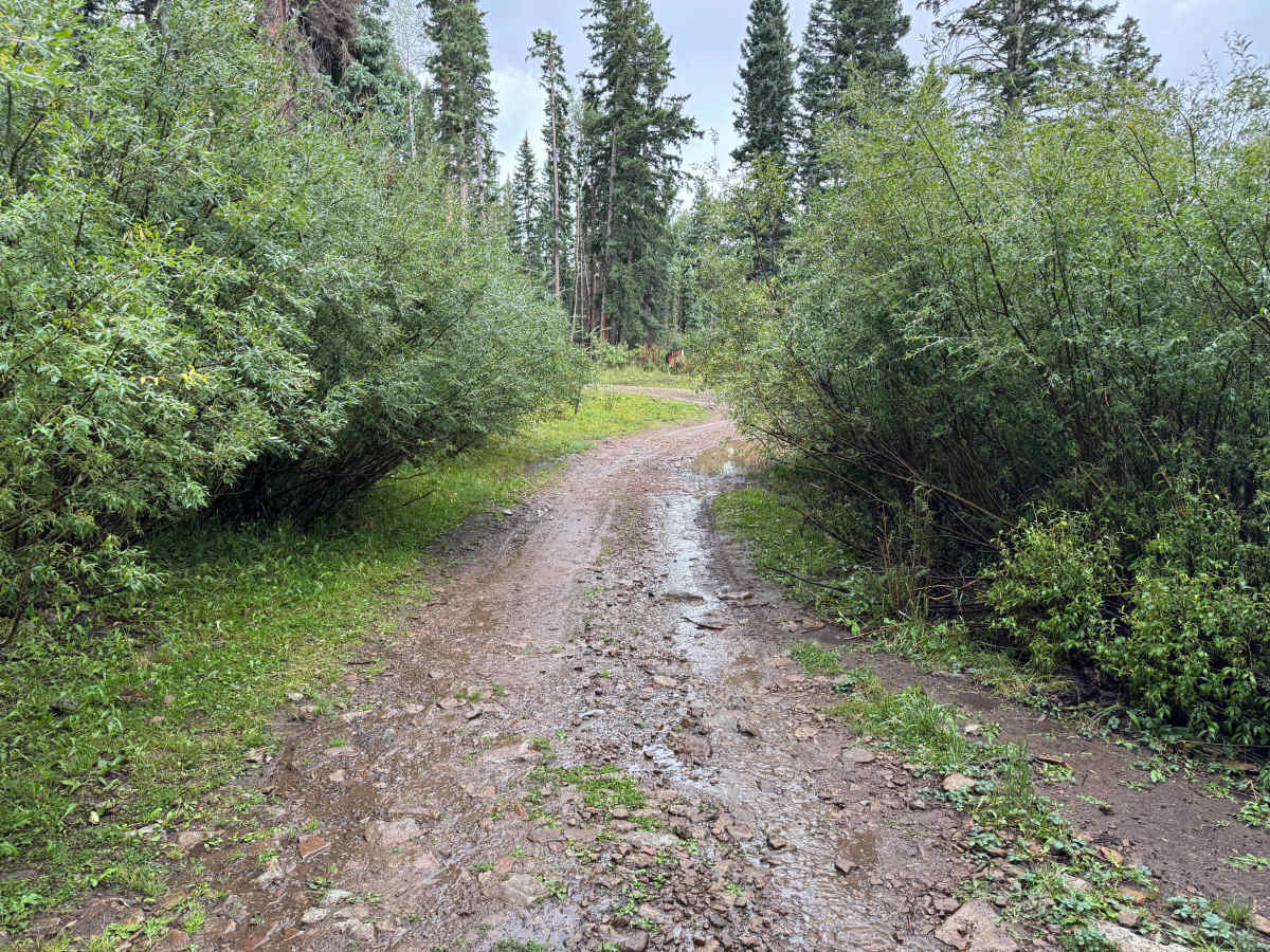 Clampett Mill Road trail photo