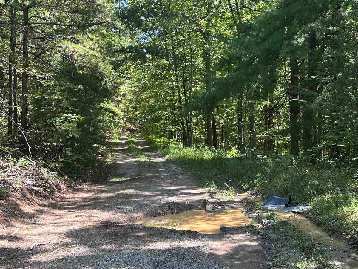 Wilson Spur trail photo