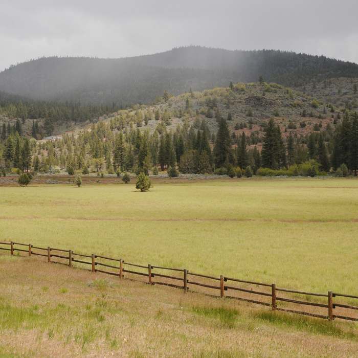 Near Stonewall Trail