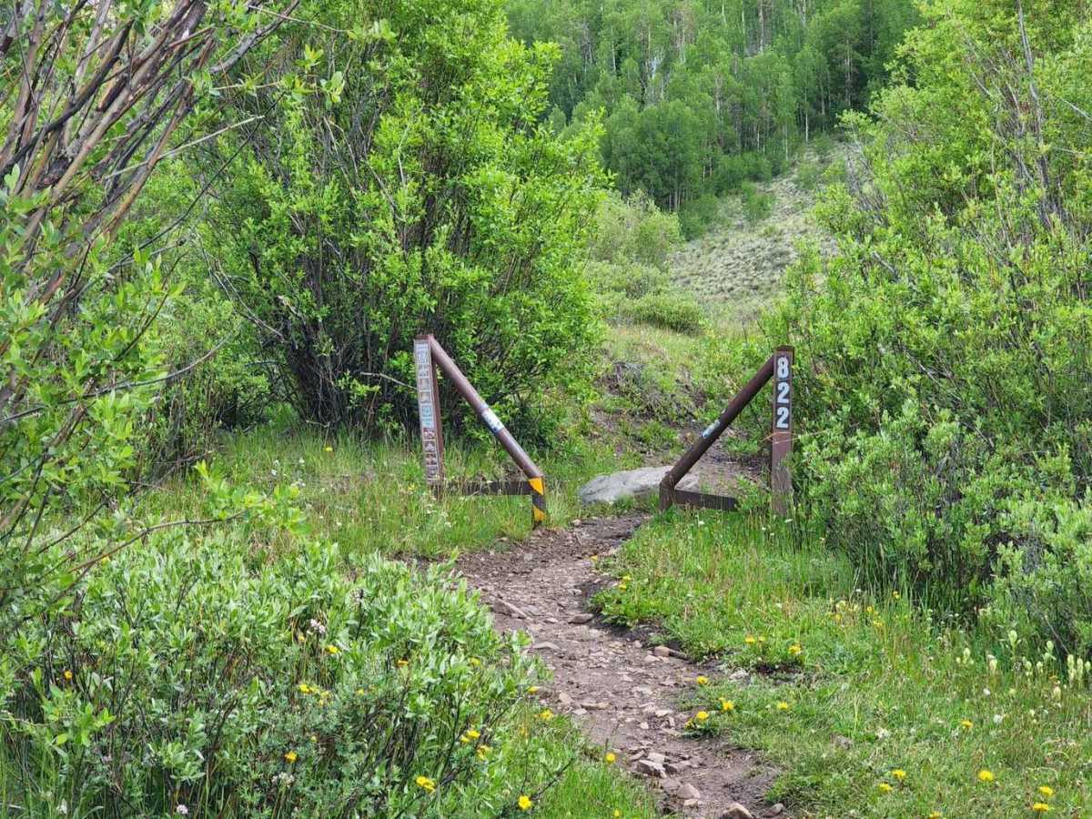 Lost Trail Road photo 4