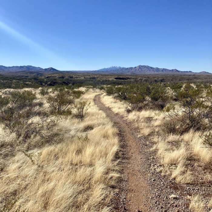 Near Hohokam Trail