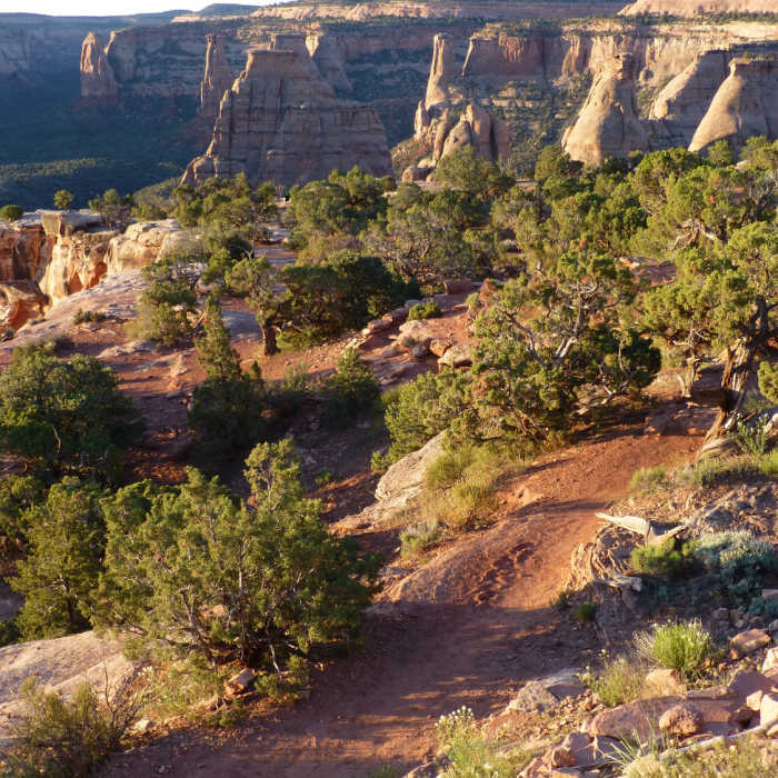 Near Window Rock Trail