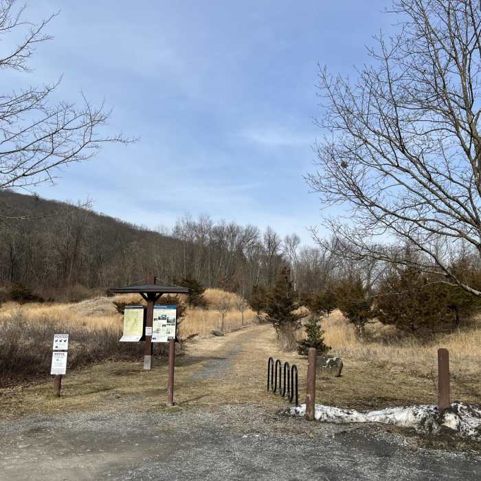 Near Louisa Pond Loop via White-Red-Blue Trails