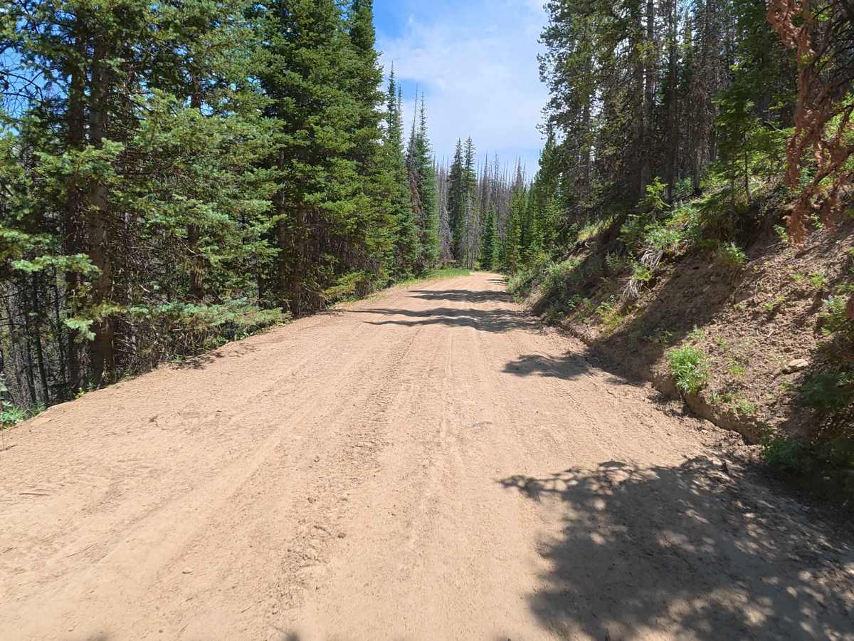 Old Corral Peak Test Road - 12 photo 5