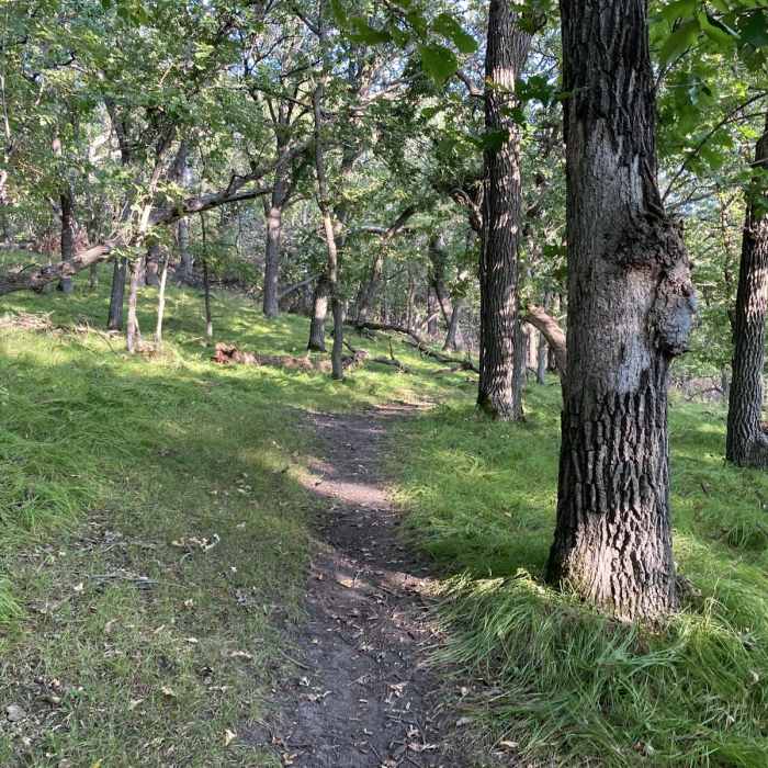 Near Hiking Club Trail at Big Stone Lake State Park Near Hiking Club Trail at Big Stone Lake State Park
