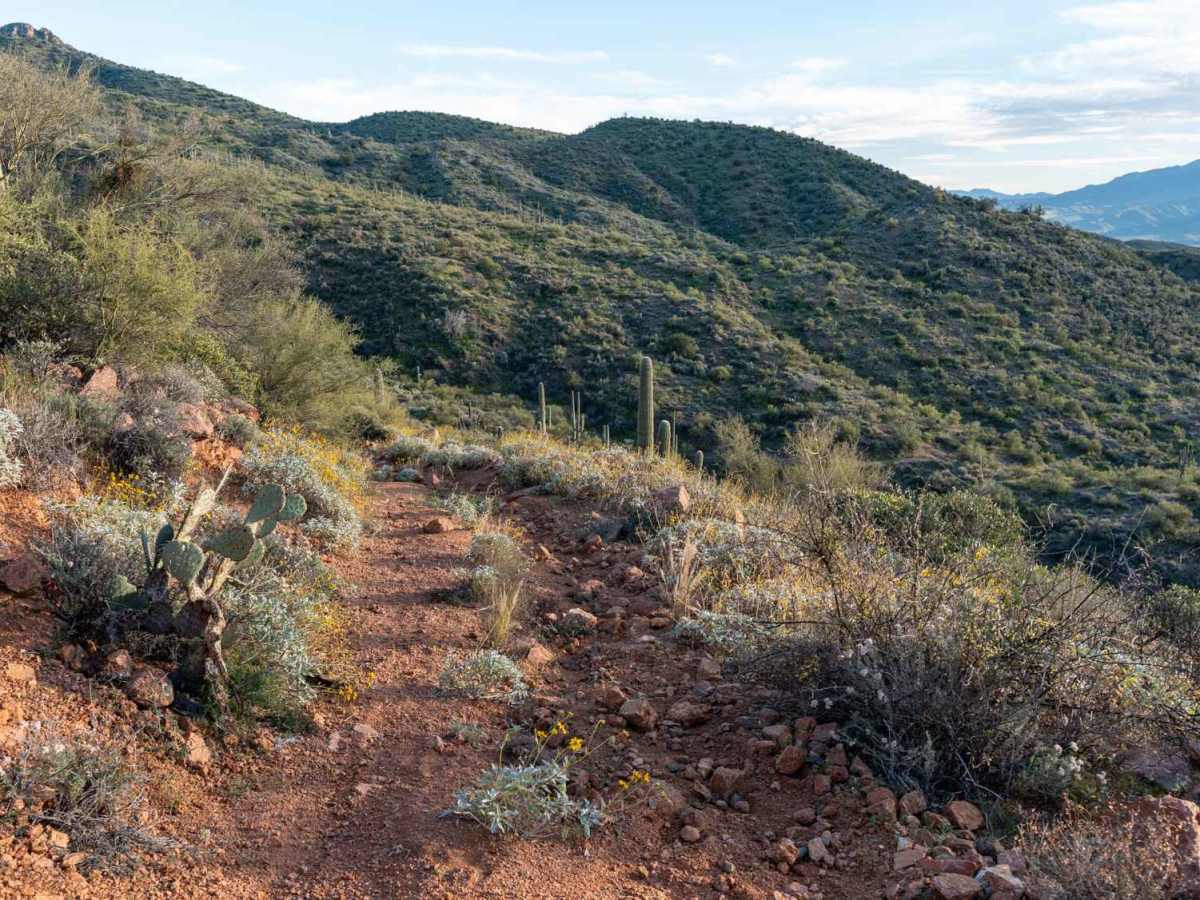 Blue Peak Canyon photo 3