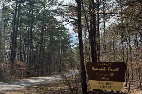 Bell Smith Spring Rope Swing Trail