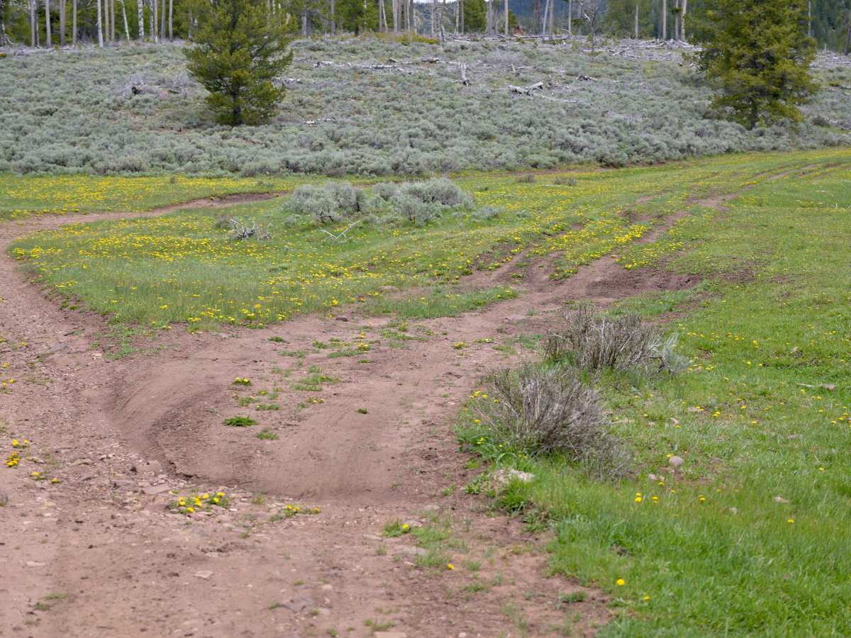 Pothole - FS 10256 photo 3