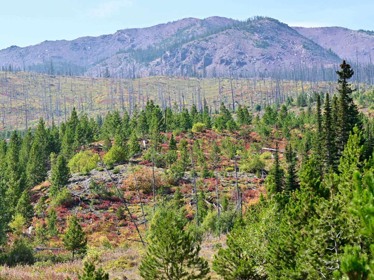 Copper Creek Road - FS 330 photo 2
