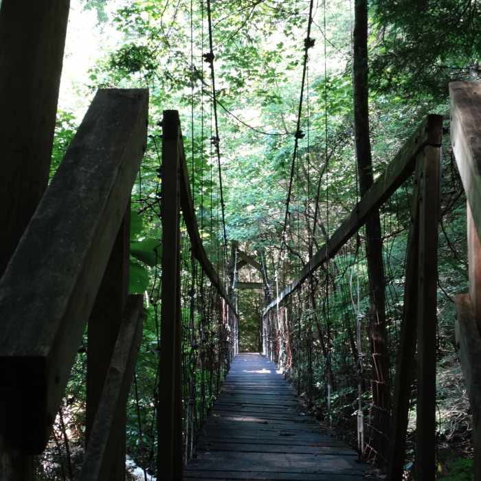 Near Sheltowee Trace NRT - Section 24 Central to Suspension Bridge