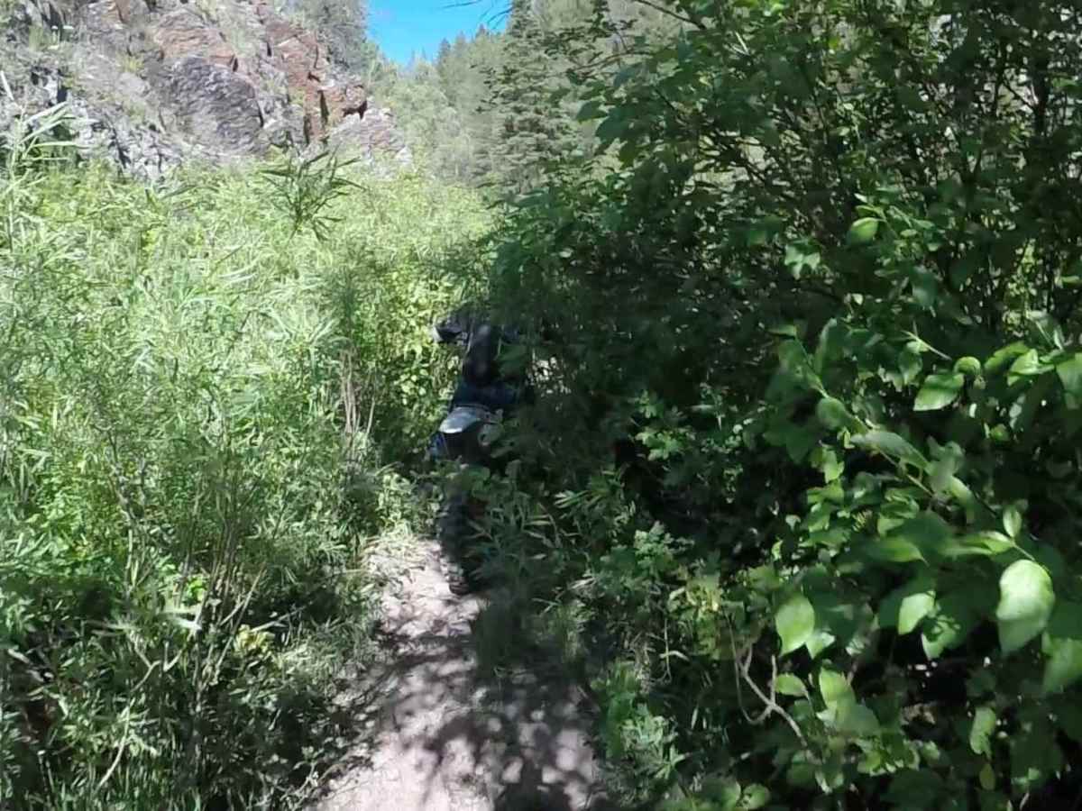 North Bear Creek photo 5