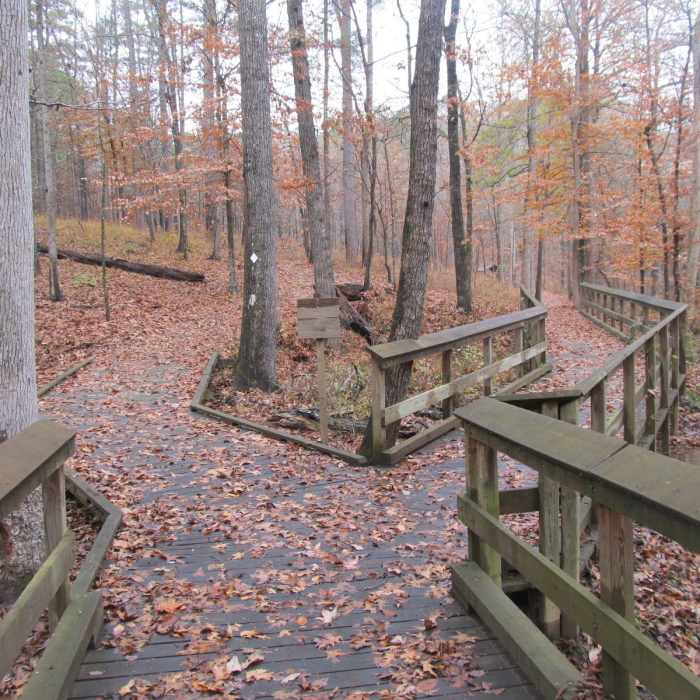 Near Headwaters Trail