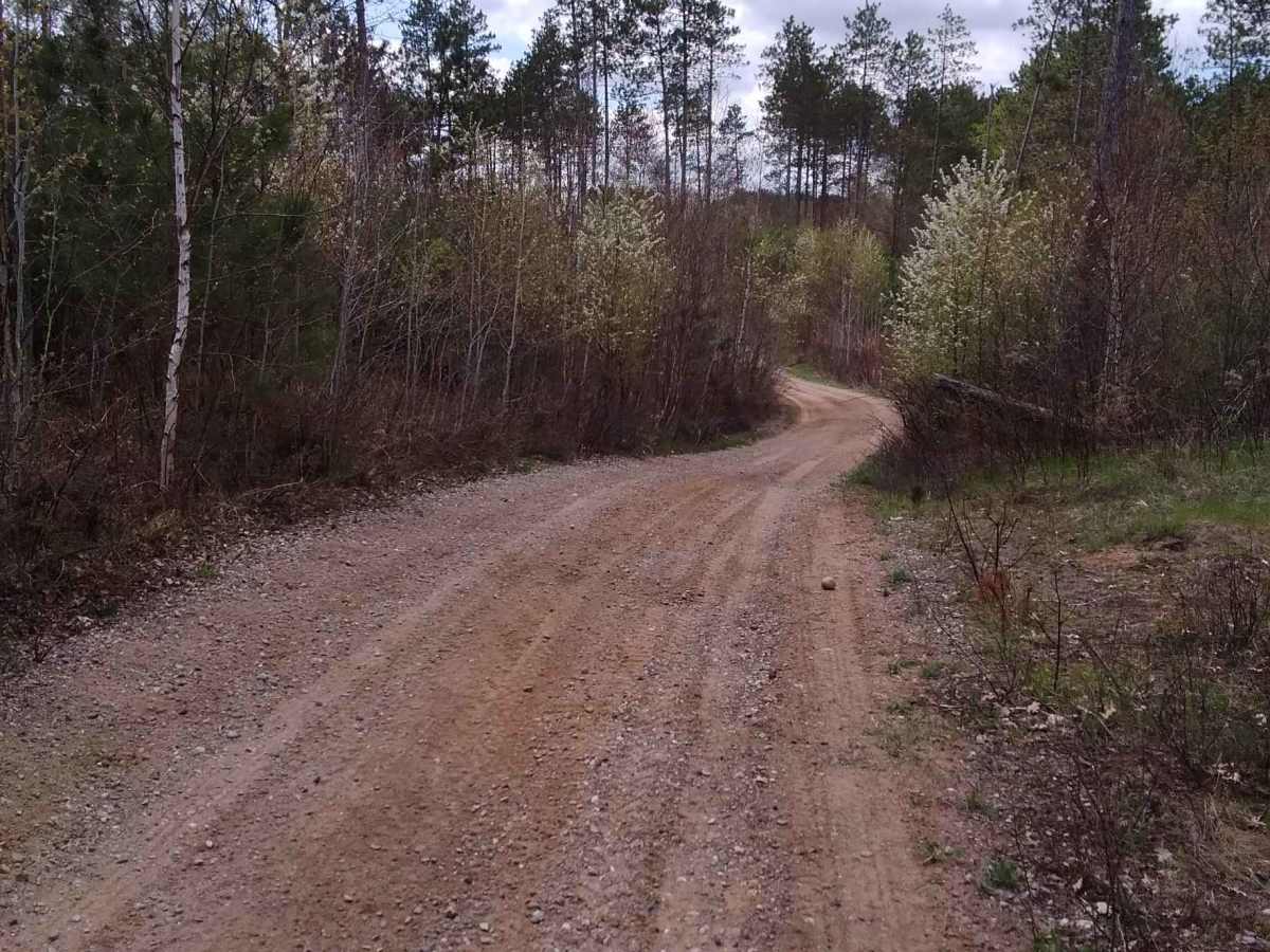 Wildwood Trail/Partridge Trail trail photo