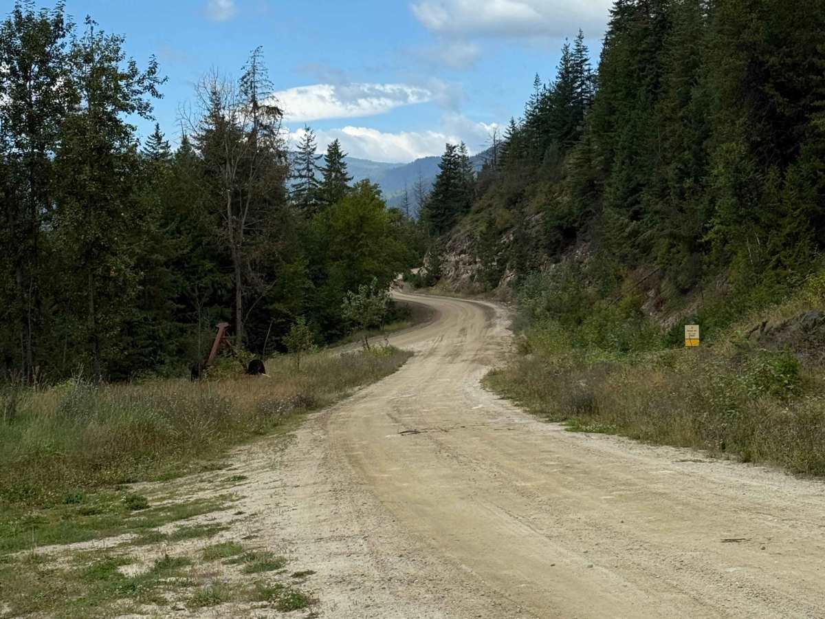 Seymore FSR trail photo