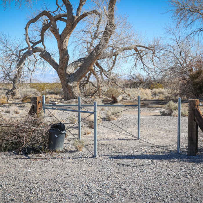 Near Cactus Springs Loop