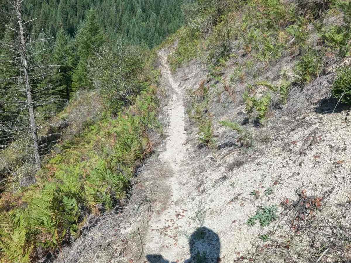 Fish Creek trail photo