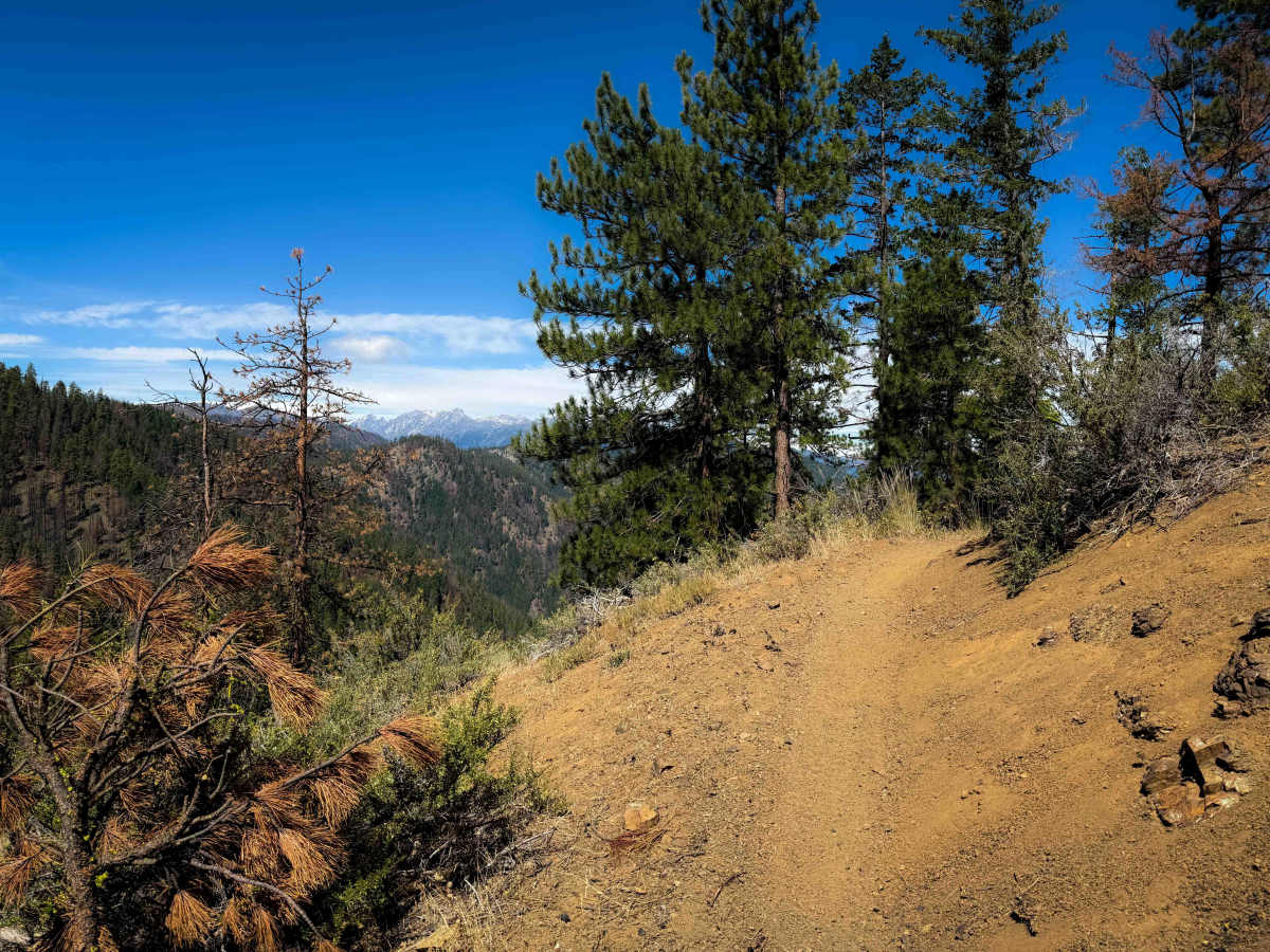 Red Hill Spur 1223.1 trail photo
