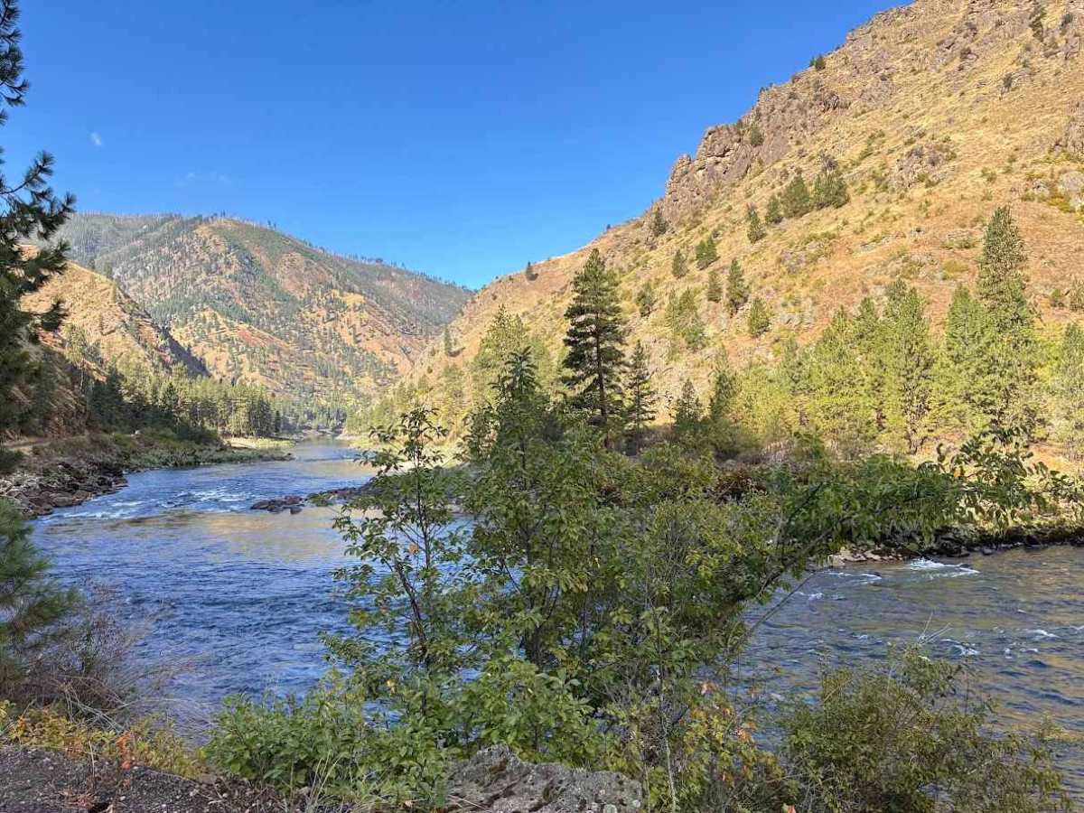 Wind River- NF 1614 trail photo