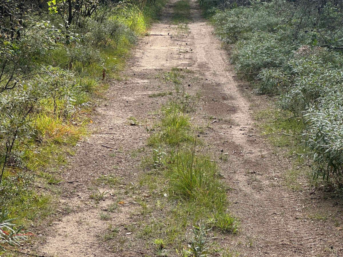 Pond Road  photo 2