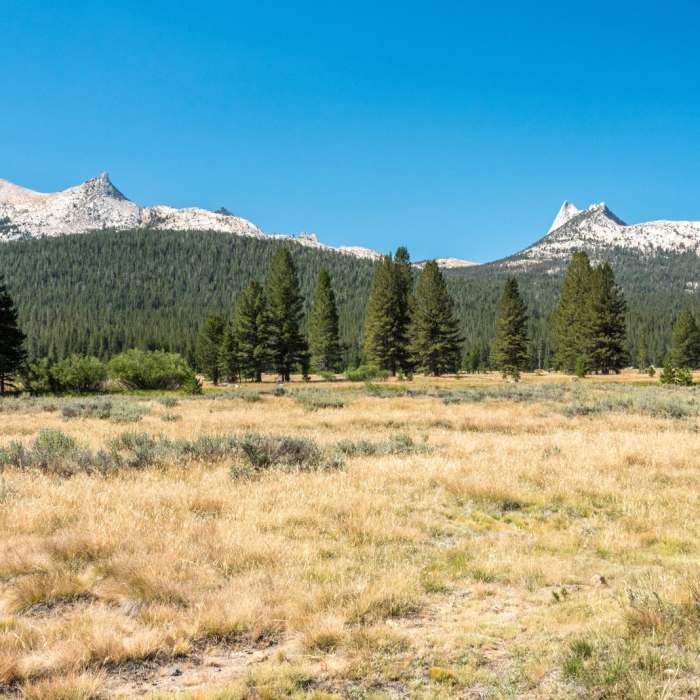 Near Tuolumne Meadows to Glen Aulin High Sierra Camp