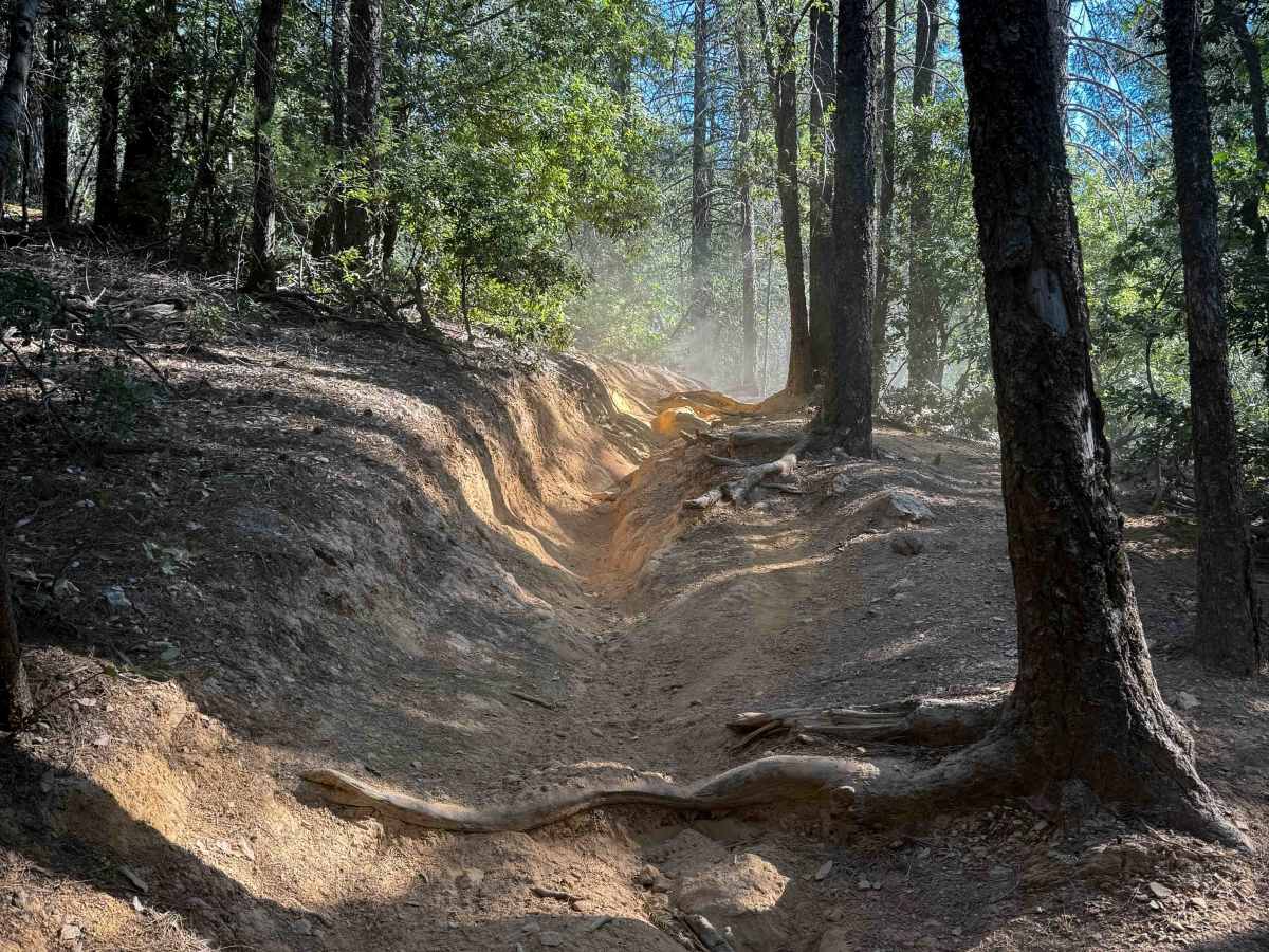 Trail 9 ATV (11E13)  photo 3