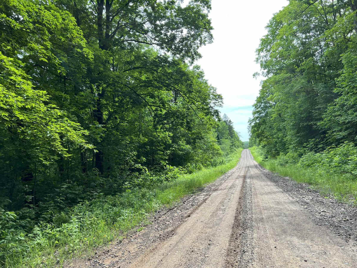 Swanson Road photo 5