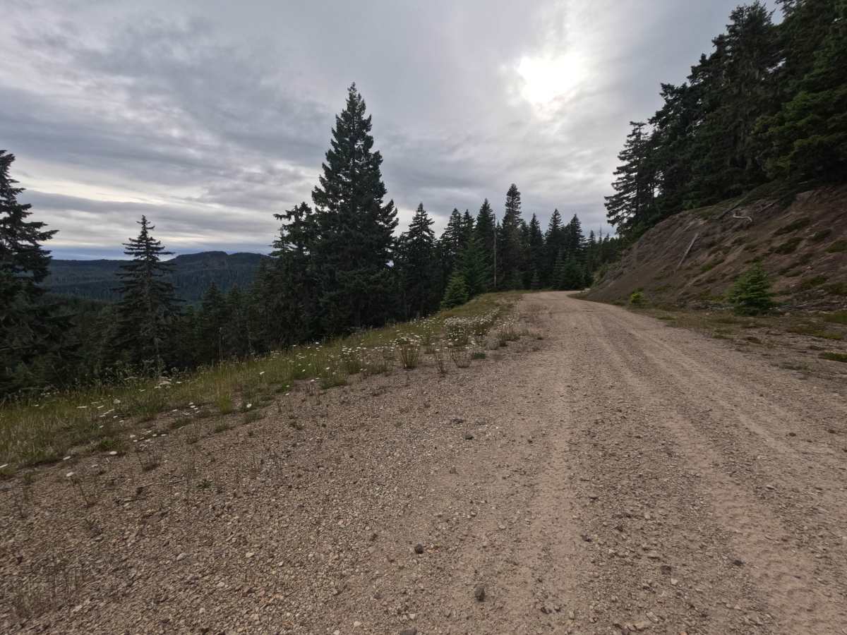 East Canyon Ridge - FS 2328000 photo 3