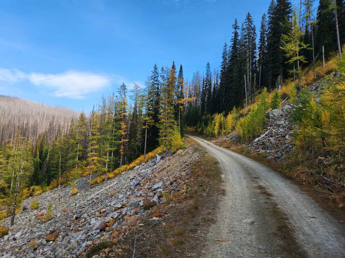 Hawkins Lakes photo 6
