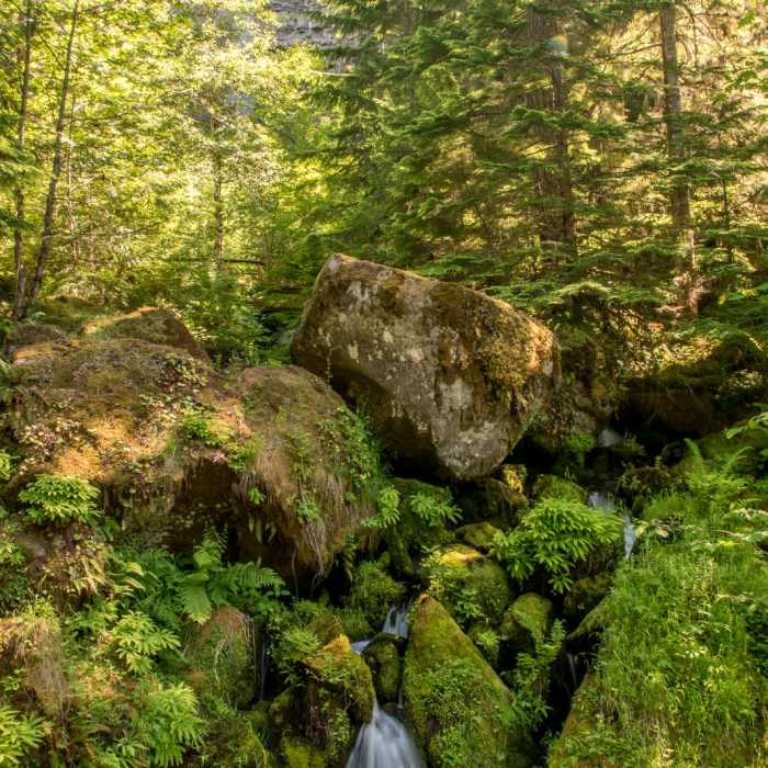 Near Watson Falls Hike