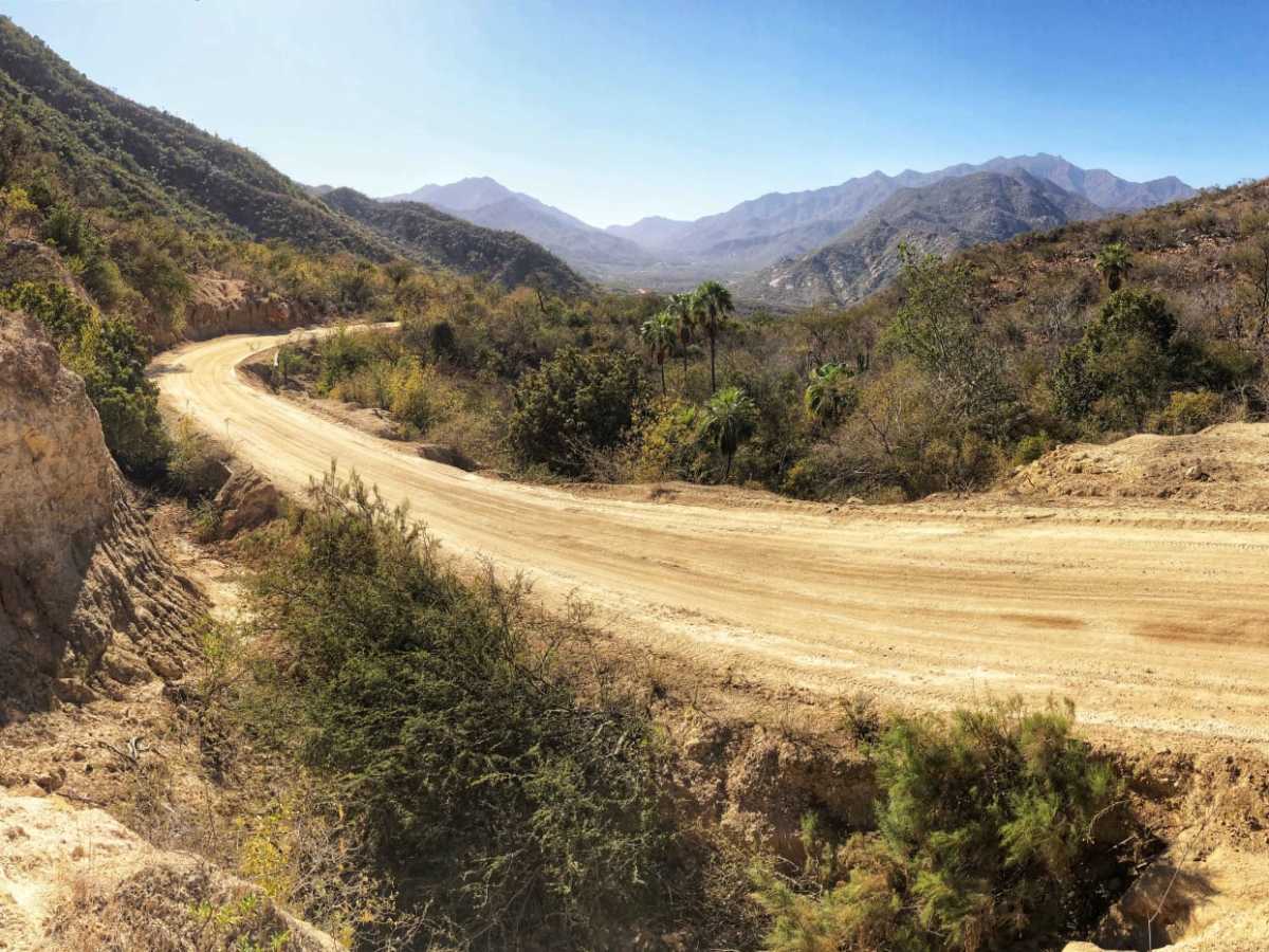 Los Naranjos photo 6