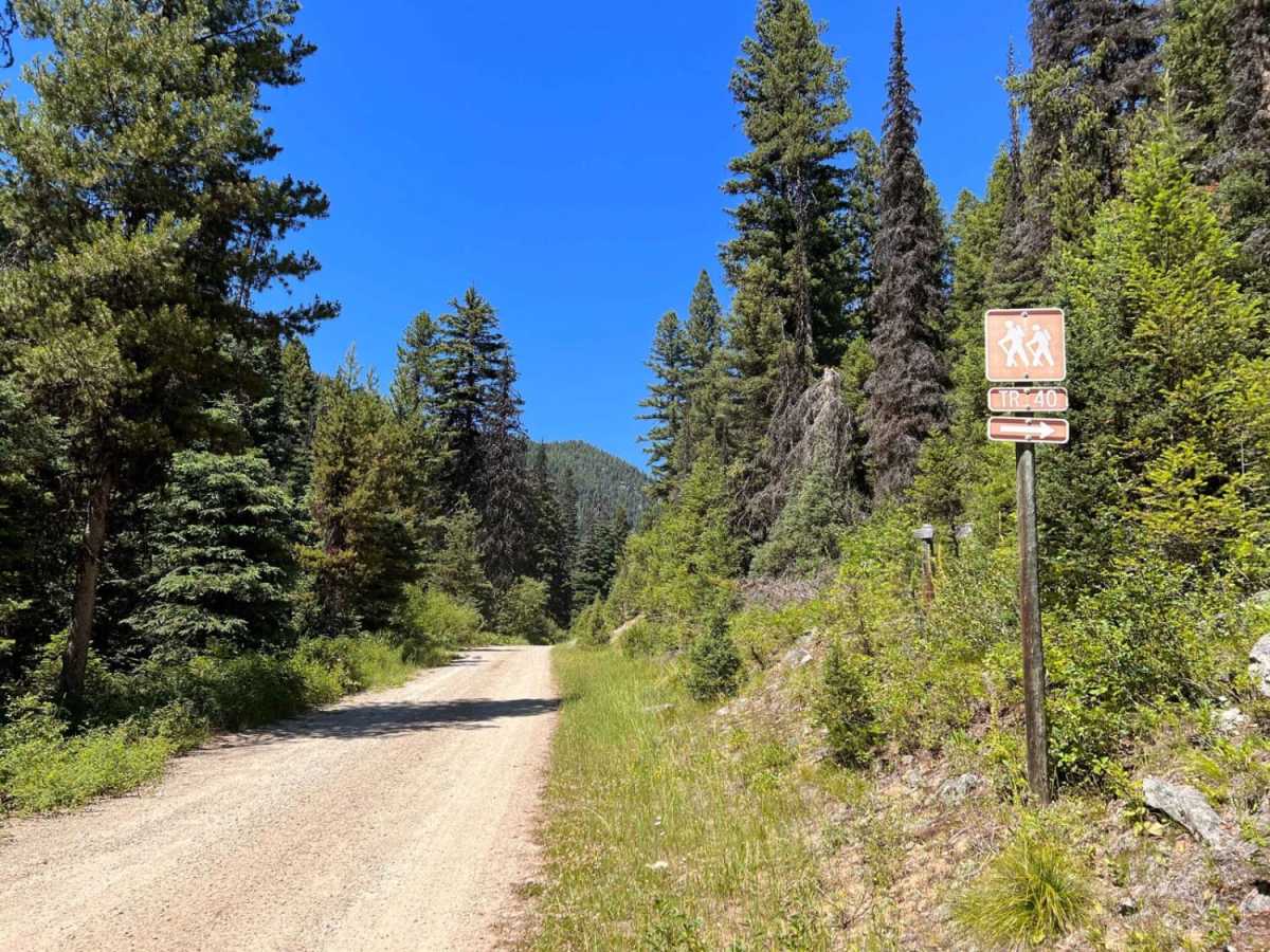 Moose Creek & Trail 40 photo 6
