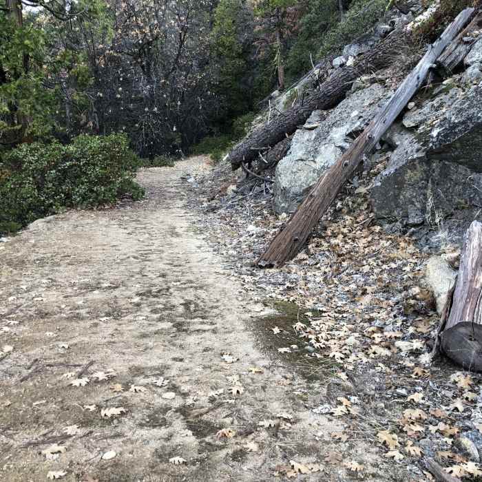 Near Deer Camp Road