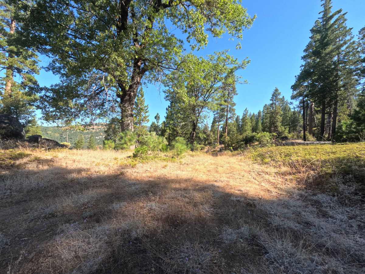 FS 8N16B trail photo
