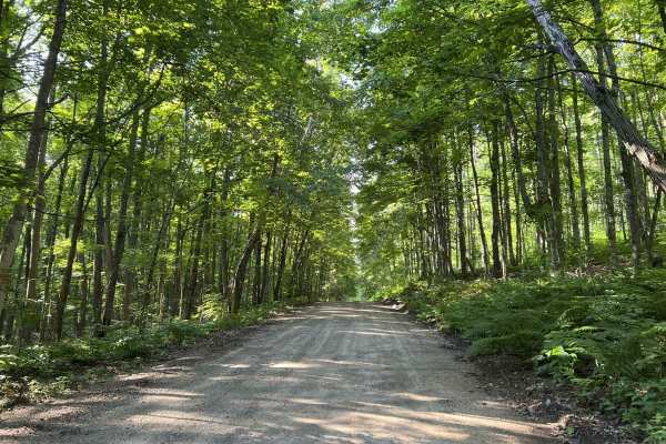 Brady Lake Road