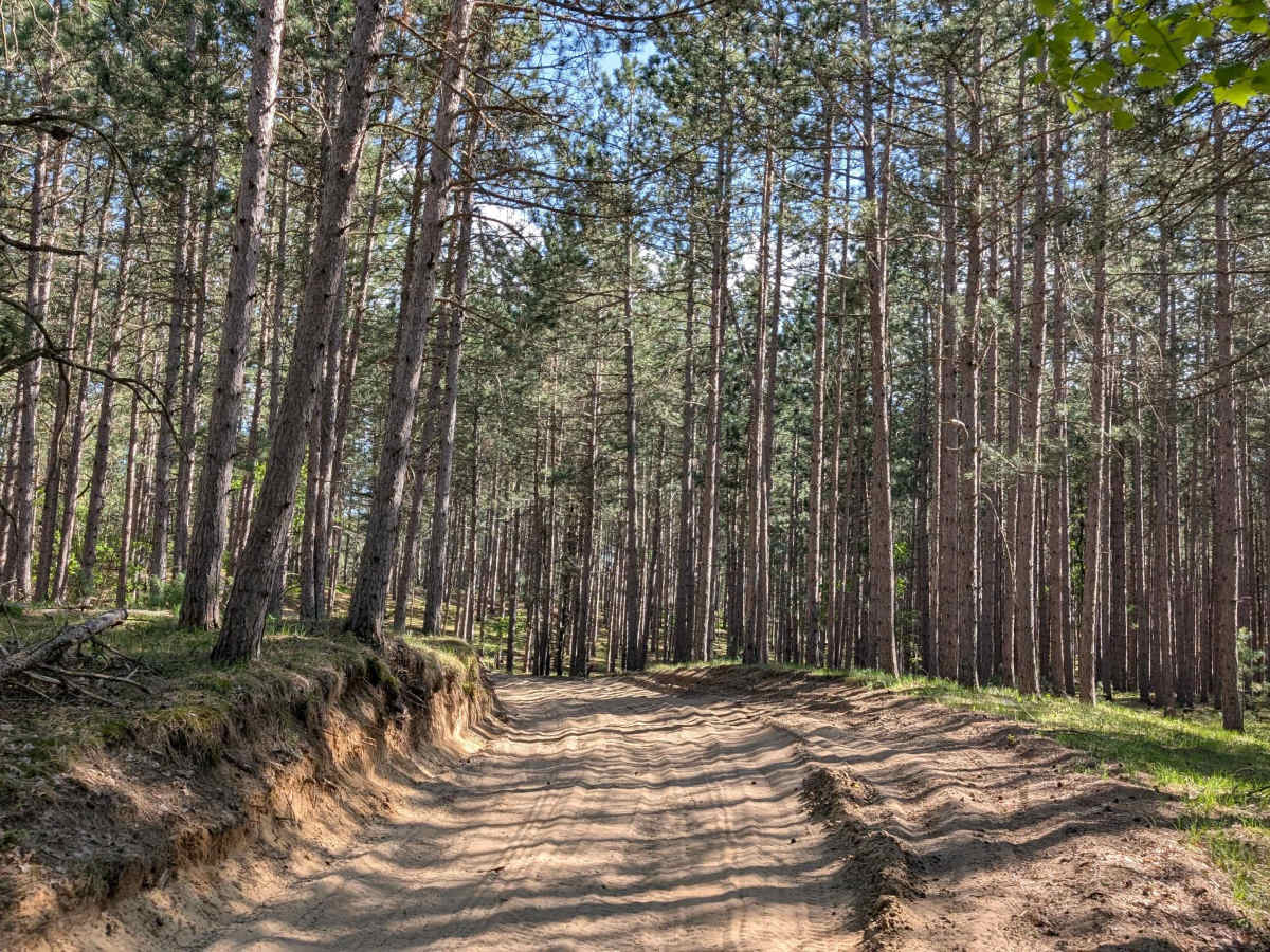 Devil Creek Road (Kalkaska Route - KKR) photo 4