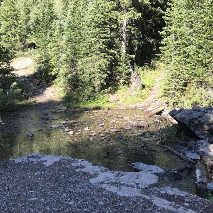 Near Silver Lake Trail