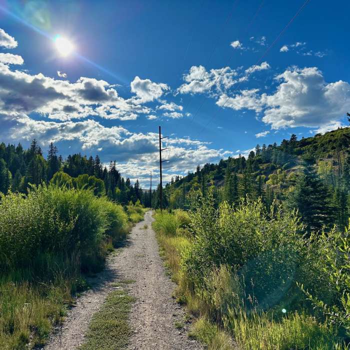 Near Galloping Goose Trail